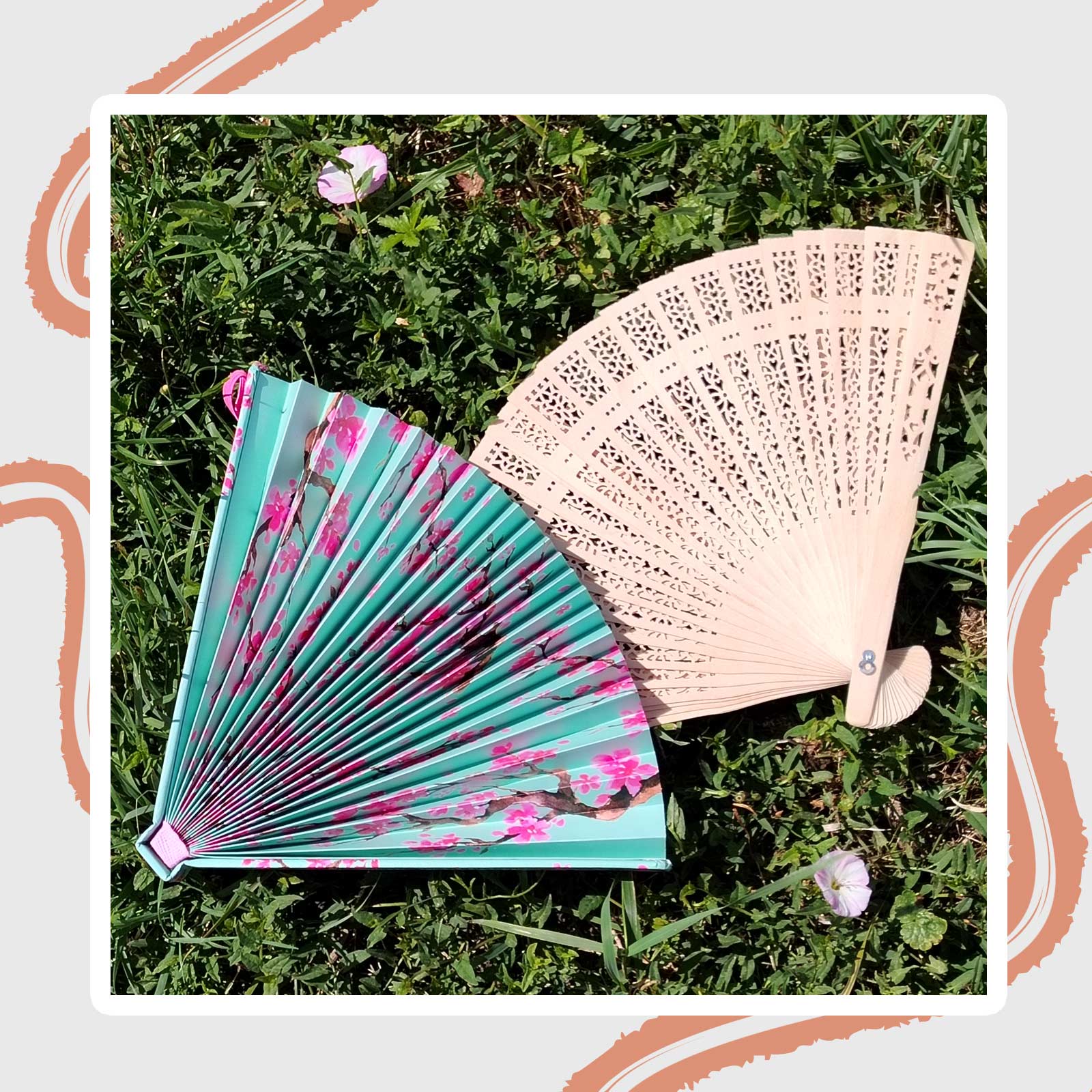 Les Calanques de Marseille